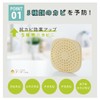 Cogit Power Bio Mold Cleaning in Baths, Mold Prevention and