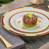Laura Stein Designer Dinnerware Set | 64 Disposable Plastic Party