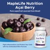MapleLife Nutrition - Acai Berry 500 mg - Pure Superfruit