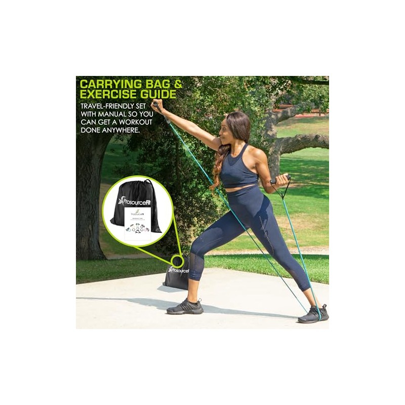 ProSource Fit Tube Resistance Bands Set with Attached Handles, Door