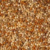 MEZCLA DE SEMILLAS P/CANARIOS Y FINCHES 500 G