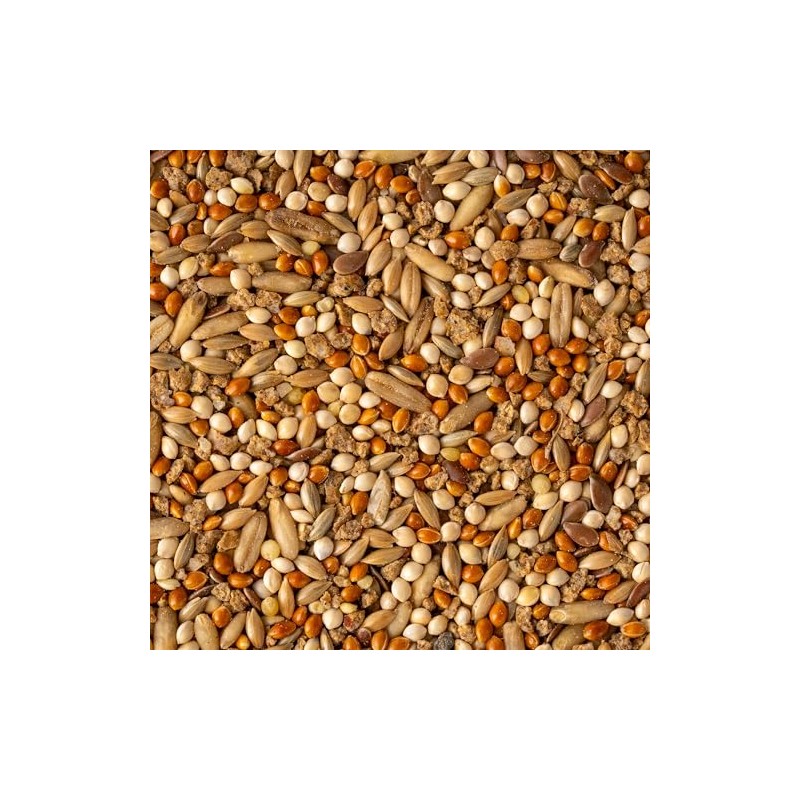 MEZCLA DE SEMILLAS P/CANARIOS Y FINCHES 500 G