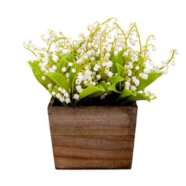 National Tree Company Artificial Flower Bouquet, Lily of The Valley Flowers, White, Includes Wood Box, Spring Collection, 10 Inches