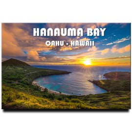 Hanauma Bay State Park Fridge Magnet Oahu Hawaii Honolulu Refrigerator Door Photo Magnet Travel Souvenir