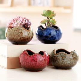 YYW Succulent Pots Small Flower Pots with Drainage Hole Ceramic Planters for Indoor Plants Stylish Plant Pots in Egg Broken Shell Design for Home Office Outdoor Decor Plant Lovers Gifts 4 Pcs