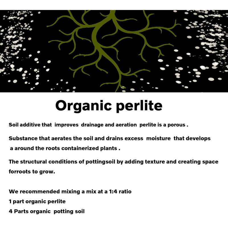 20 QT Professional Grade Horticultural Organic Perlite (20 QT, Perlite)