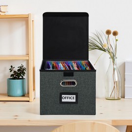 Vexalora File Organizer Box with Folder, 25 Pockets Accordion File Organizer with Colored Labels, Upgraded & Portable File Folders for Home, Office, School, Dark Grey