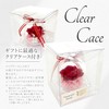 Preserved Flower, Glass Dome, Gift, Glass Case, Present, Flower Gift,