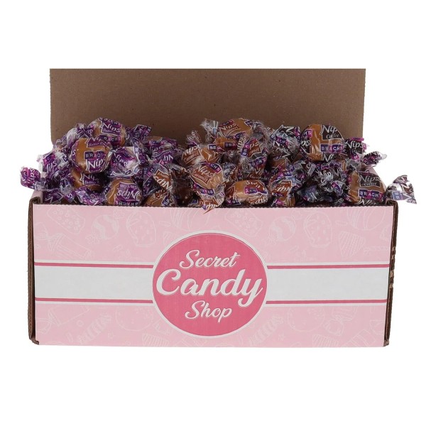 Nips Hard Candy Bulk in Box (Assorted Flavors) Pack of