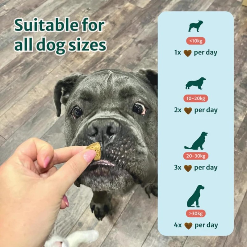 DogSuppy DogSuppy Itch Relief Probiotics For Dogs - Stop Itching,