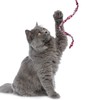 Sumind 3 Pieces Jungle Cat Wand Cat Teaser Charmer Interactive