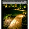 Vannise G9 Halogen Bulb 25W 10-Pack - Long Lasting, Dimmable