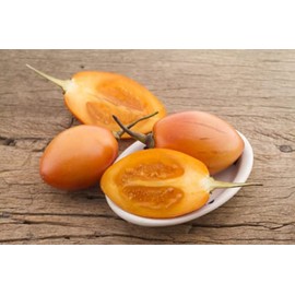 Cyphomandra Betacea Yellow Tropical Tree Tomato 10 Seeds Container Gardening Fragrant, Pink Flower Clusters Ornamental