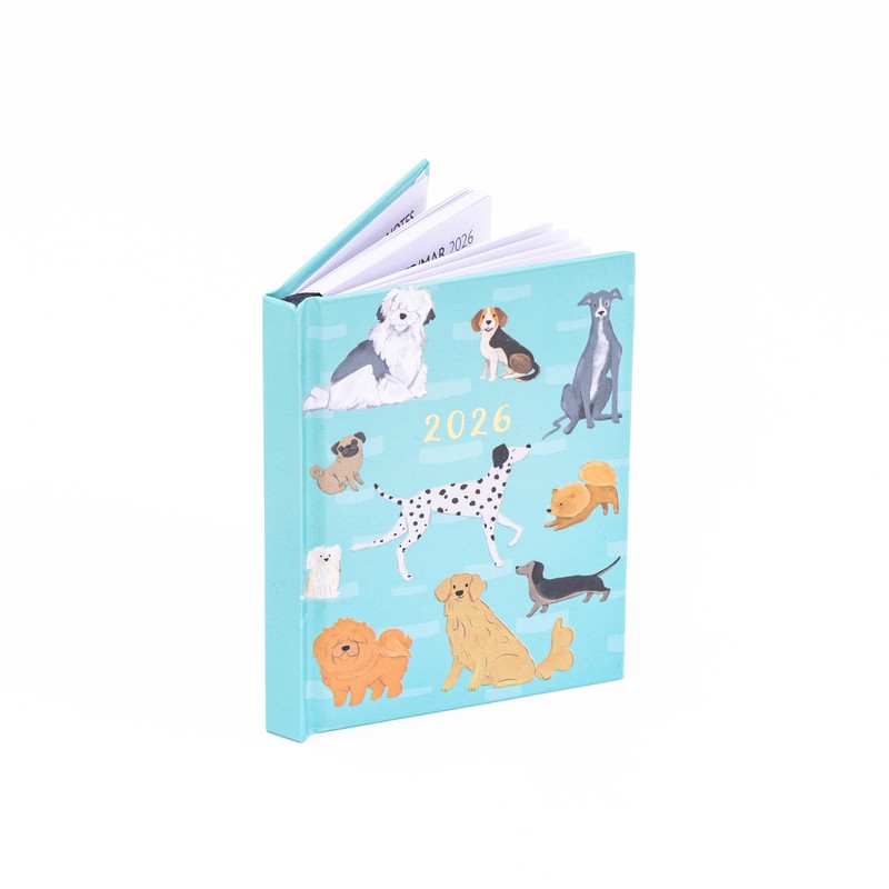 evelay 2026 Diary Week to View Pocket Size Full Year