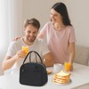 LOIDOU Insulated Lunch Bag, Small Cooler Bag for Office, School,