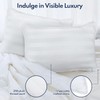 DIORIS Pillows Queen Size Set of 2 - Luxury Hotel