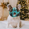 CAPASTEC Muzzle for Dogs with Flattened Snout Adjustable Breathable French