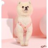 Oyccen Small Dog Harness with Lead, Puppy, Adjustable Chest Harness,