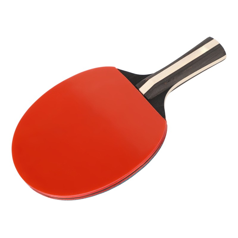 REGAIL Ping Pong Paddle Set Portable Table Tennis Set With
