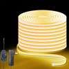 Lucienstar LED Neon Rope Lights, 32.8Ft Warm White Led Strip