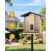 TT Nature Bird Feeder with Camera – 3L Smart Bird