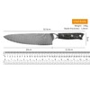 8 Inch Professional Damascus Steel Kitchen Chef Knife with Resin