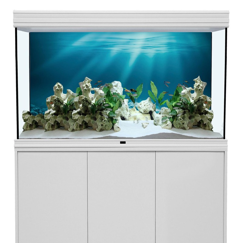 AWERT 36x18 inches Undersea Theme Aquarium Background Sunshine Underwater World