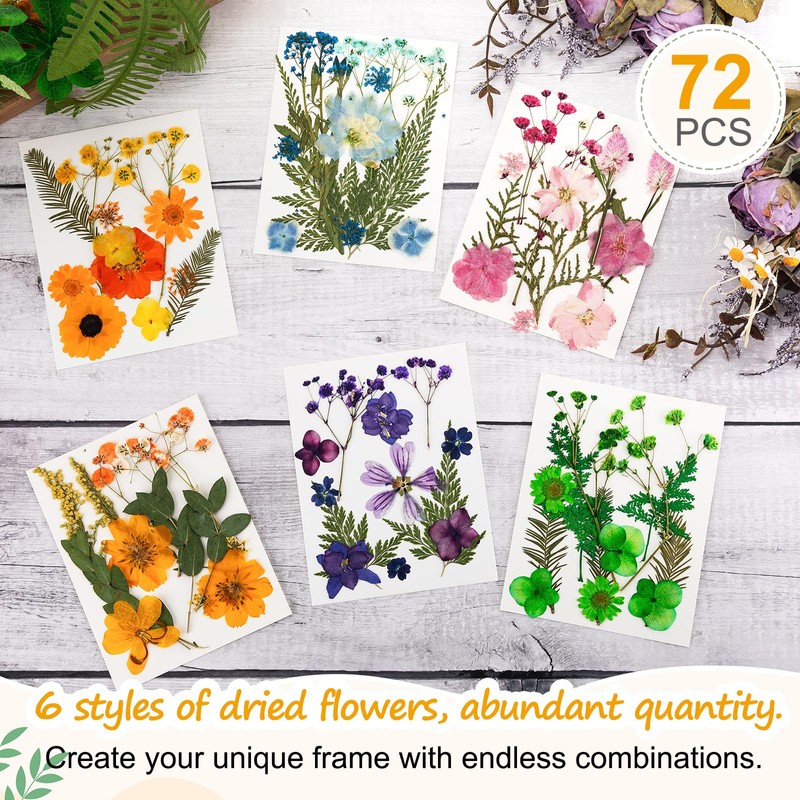 Yalikop 4 Pcs Double Glass Frame for Pressed Flowers Handmade