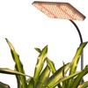 Grow Lights for Indoor Plants with Stand, FECiDA UV-IR Full