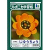 Showa Notebook, Japonica Study Book, White Plain, Double Opening, JL-72