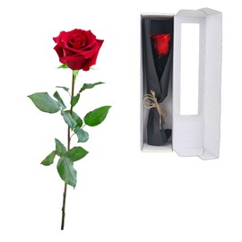 elthmpr Infinity Rose Pink on a Stem - Real Preserved Rose in Gift Box for Women on Your Birthday Anniversary Mother's Day