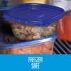 Medium Square Food Containers - 1.18 L, 3 Pack