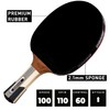 Donic-Schildkröt Waldner 1000 Table Tennis Bat, ABP Handle, Sponge 2.1