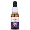 Living Essences Dampiera 15ml