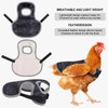 Chicken Saddle for Hens Chicken Aprons & Vest Jacket for