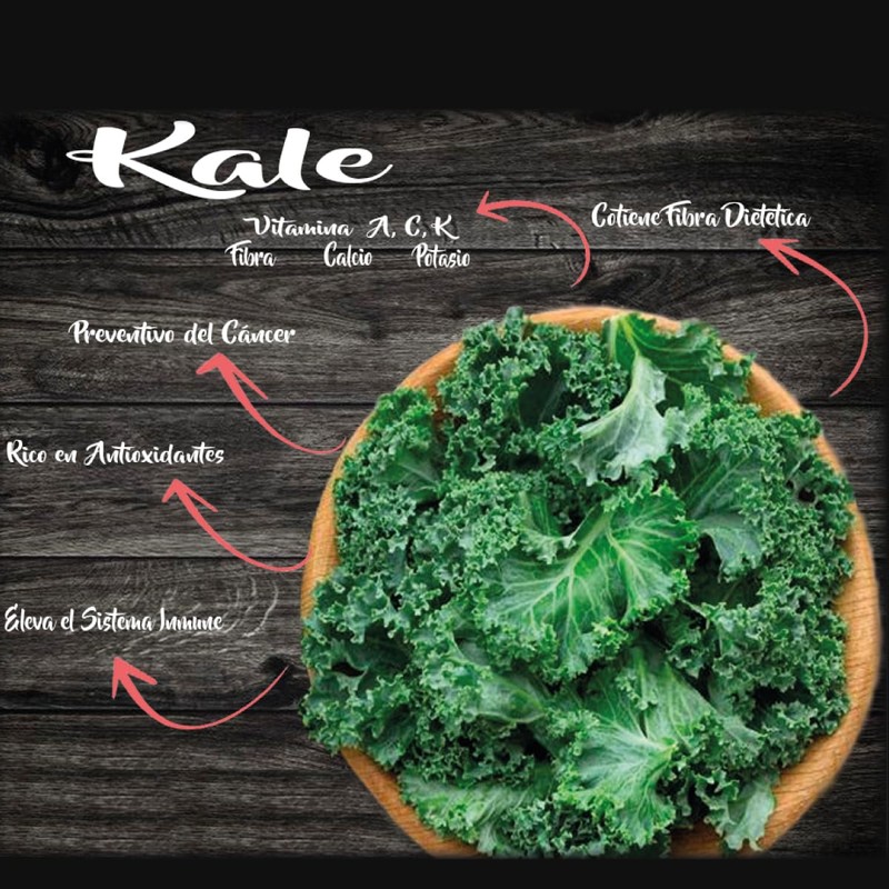 Kale Frutal Health Toyo Group, 100g