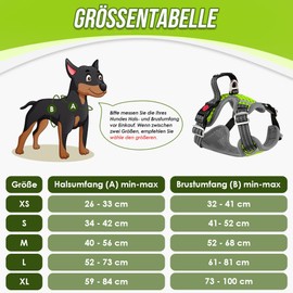 Eyein No-Pull Dog Harness, Air Mesh Breathable Chest Harness for Small, Medium and Large Dogs, Escape Proof Reflective Adjustable Vest with Sturdy Safety Handle, Green, M