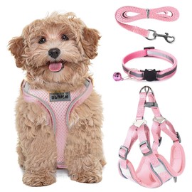 FINEASY Dog Harness with Lead, Reflective, Dog Harness for Small Dogs, Safety Harness Dog Escape Proof, Chest Harness for Pets, Cats, Small, Puppies (Pink, M)