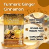 Premium Turmeric, Ginger, Cinnamon Blend Tea Bags, 100% Natural &
