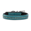 Audrey Genuine Leather Dog Collar with Rhinestones/Crystal, Sparkling Dog and