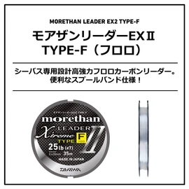 DAIWA MT Reader EX2 Type F20LB, Natural Clear