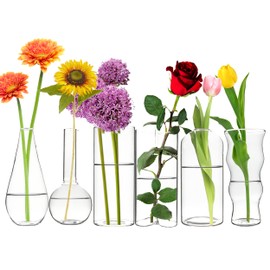 CYS EXCEL Glass Bud Vases Set of 6 Clear Mini Small Flower Vases Wedding Centerpiece Table Decorations Event Party Home Décor Floral Arrangement