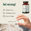Creavitalis® Creatine + B5 Capsules | Pack of 150 |
