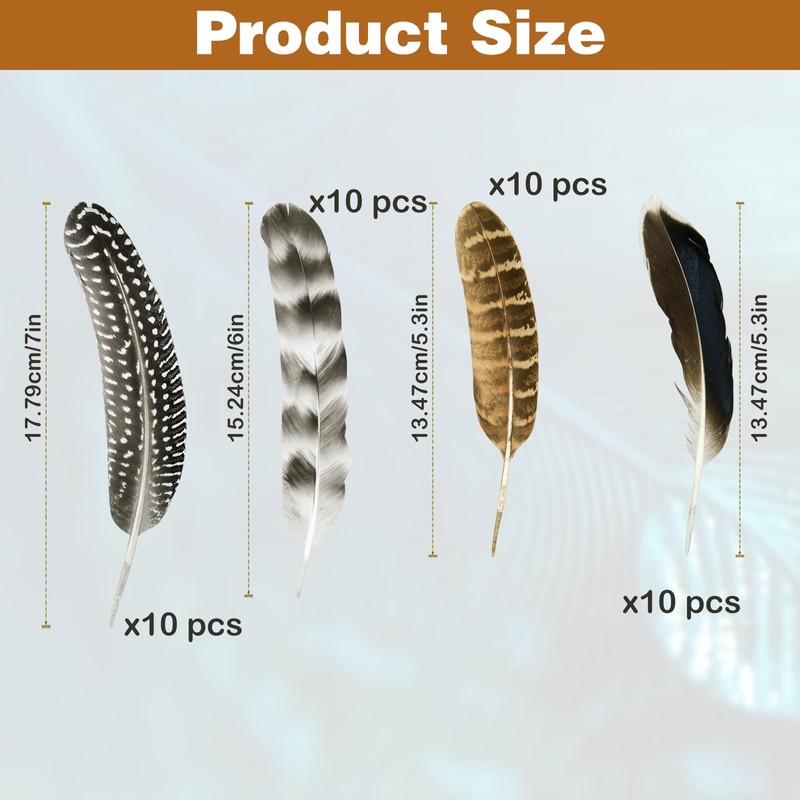 40Pcs Turkey Feathers for Crafting, Natural Pheasant Feathers Hat Feathers,