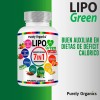 LipoGreen 7 In 1 Orgánico 100% 90 Cápsulas Purely Organics
