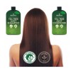 Tea Tree Mint Shampoo and Conditioner - Pure Tea Tree
