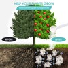 5LB Water Storing Crystals for Plants with Spoon, Water Gel