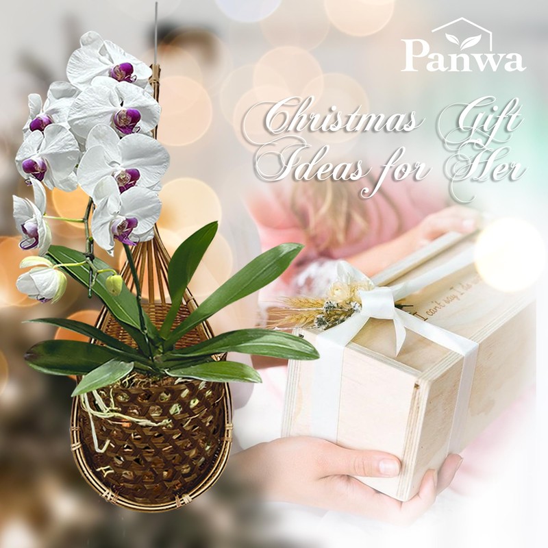 PANWA Handmade 100% Thai Bamboo Hanging Orchid Basket – 4