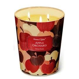 HomeLights Large jar Candle | 3-Wick Long-Lasting Scented Candles, 34oz Natural Soy Wax Candle for Home Scented, Eclectic Mixed Styles Gifts for Women & Men, Apple Orchard