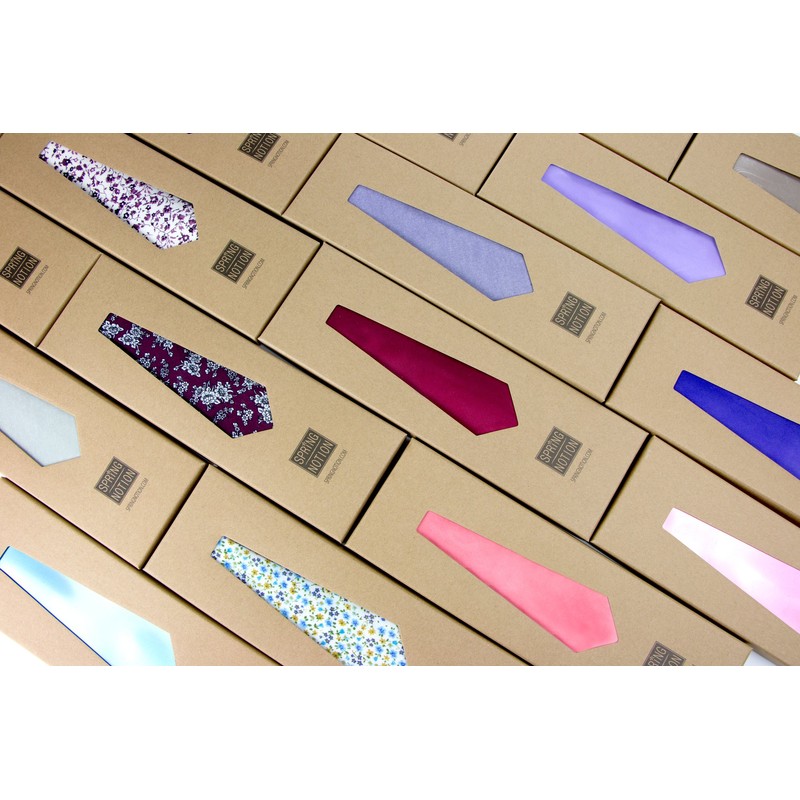 Spring Notion Men's Regular Solid Color Satin Microfiber Tie and